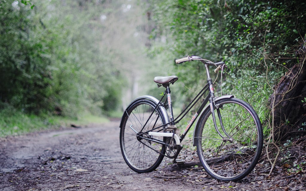 Bicycle parked on a wooded path