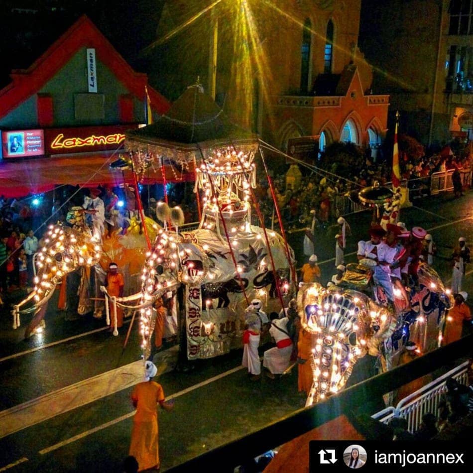 Three elephants in the Kandy Perahera by iamjoannex