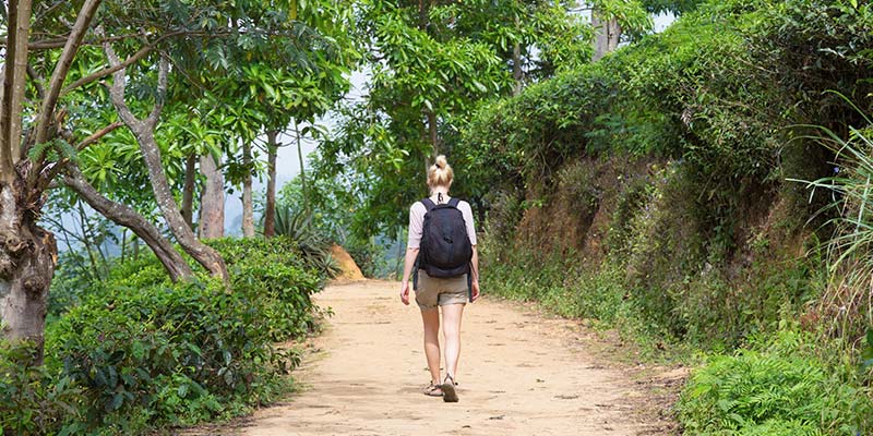 A Hiker in Ella