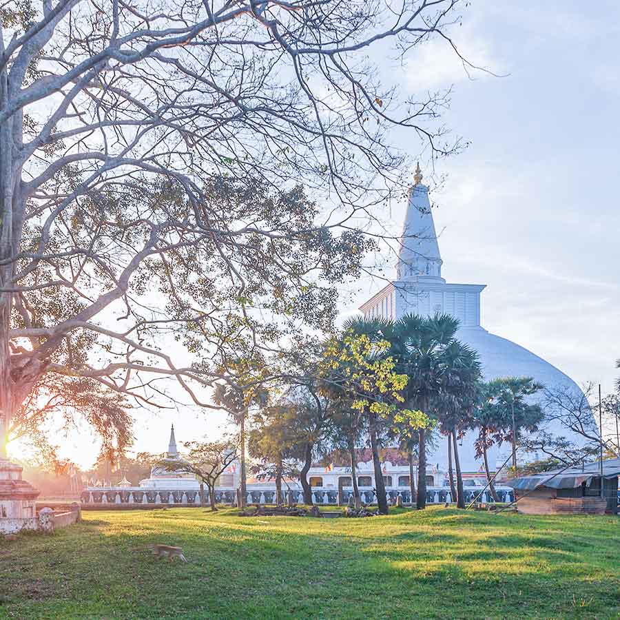 Ruwanwelimaha Stupa in Anuradhapura