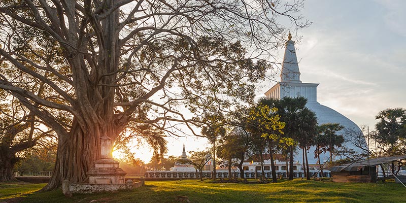 Ruwanwelimaha Stupa in Anuradhapura