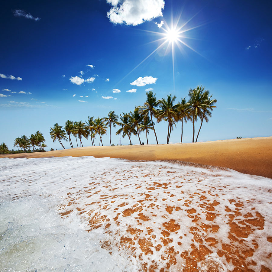 Beach Views of a Sri Lankan Beach