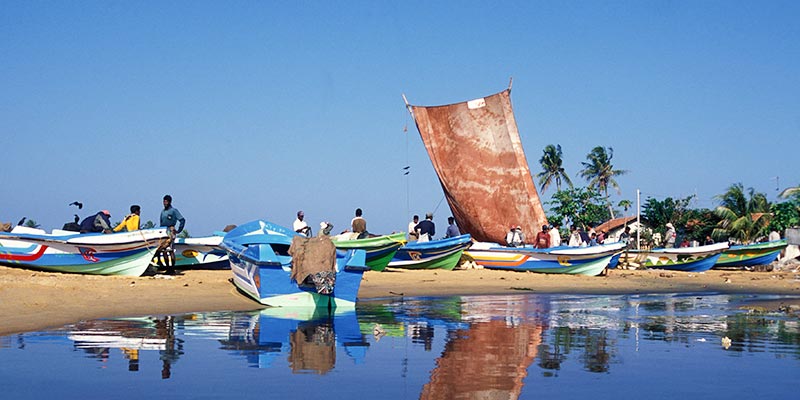 Fishing Boats in Negombo Beach