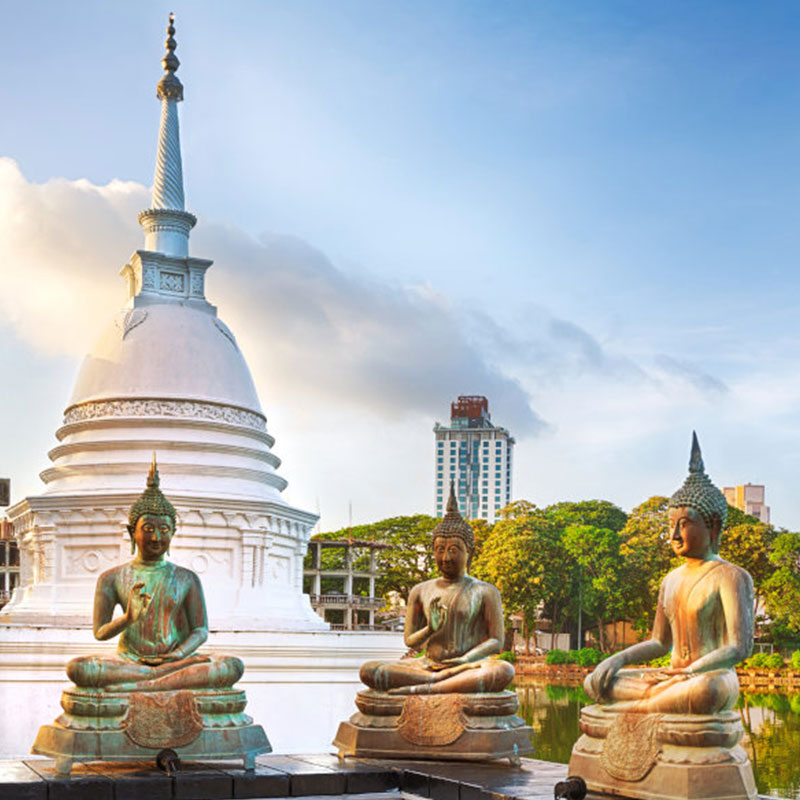 Buddha Statues in Colombo