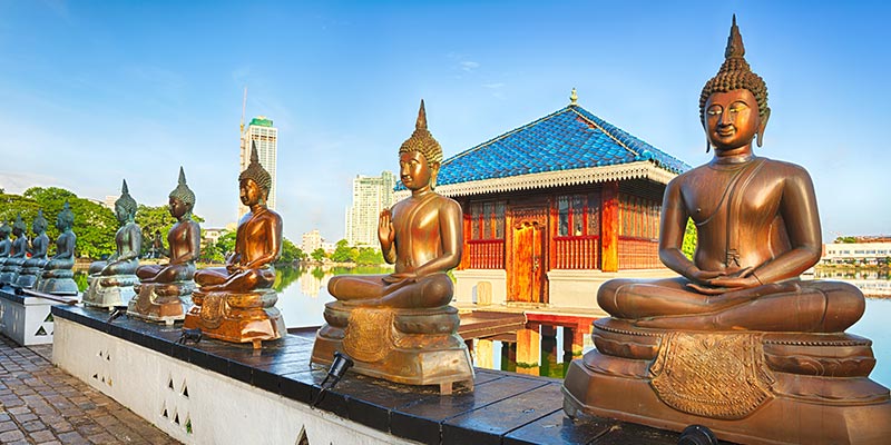 Buddha Statues in Colombo