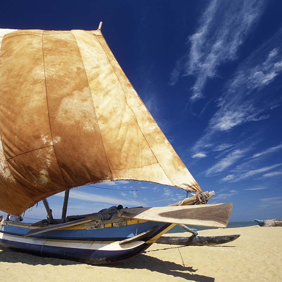 Fishing Boats in Negombo Beach