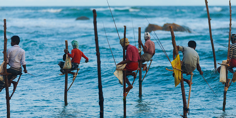 Stilt Fishing in Ahangama