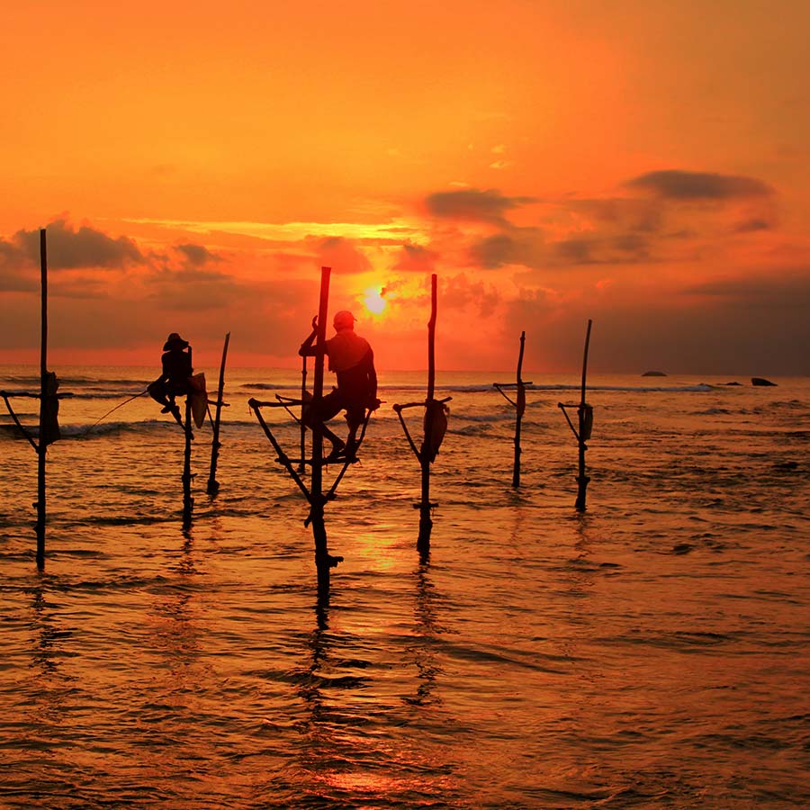 Stilt Fishing in Ahangama