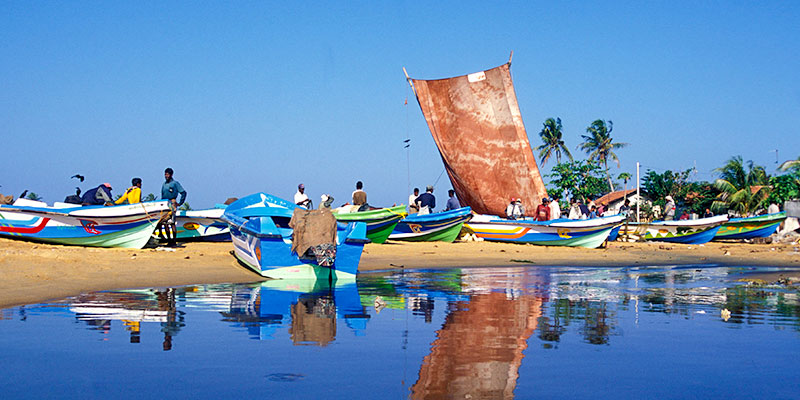 Fishing Boats in Negombo Beach