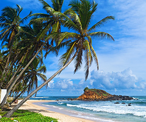 Beach Views of a Sri Lankan Beach