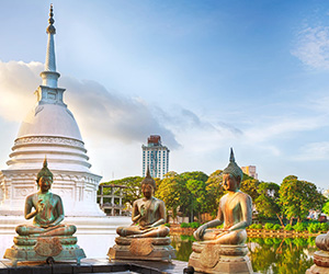 Buddha Statues in Colombo