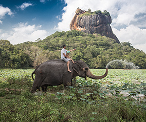 Sigiriya Rock from Hiriwaduna Lake