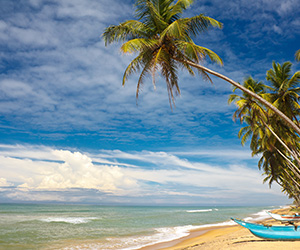 Beach Views of a Sri Lankan Beach