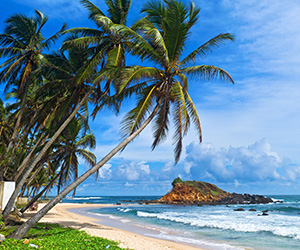 Beach Views of a Sri Lankan Beach