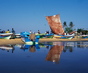 Fishing Boats in Negombo Beach