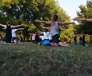 People Doing Yoga In a Park