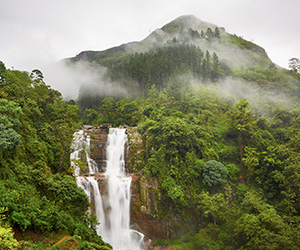 St. Clair's Waterfall Nuwara Eliya