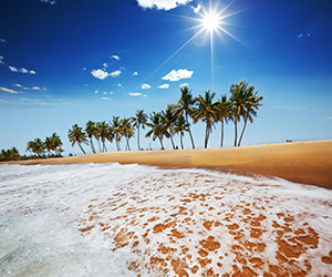 Beach Views of a Sri Lankan Beach