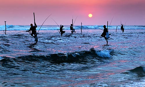 Stilt Fishing in Ahangama