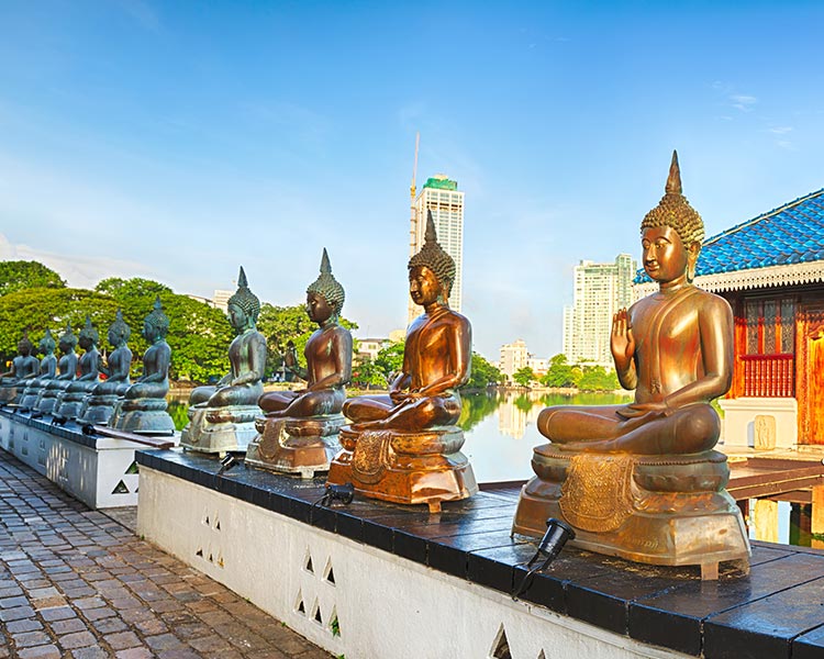 Buddha Statues in Colombo