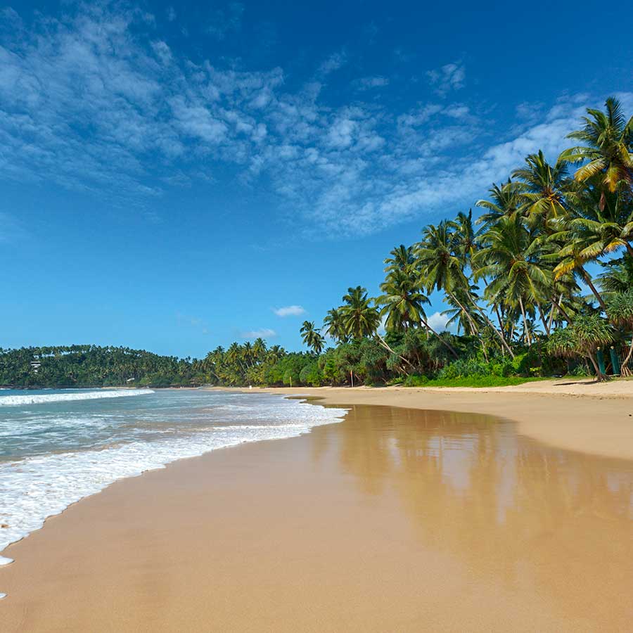 Beach Views of a Sri Lankan Beach