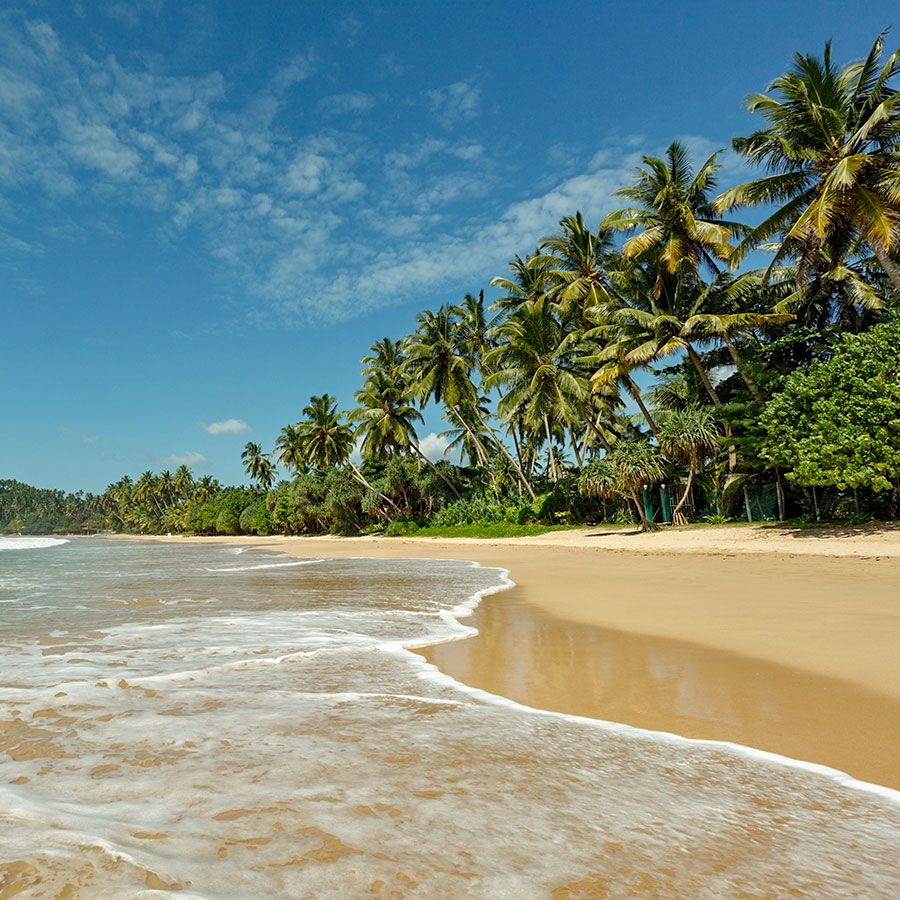 Beach Views of a Sri Lankan Beach