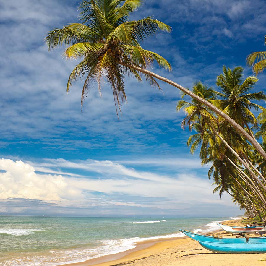 Beach Views of a Sri Lankan Beach