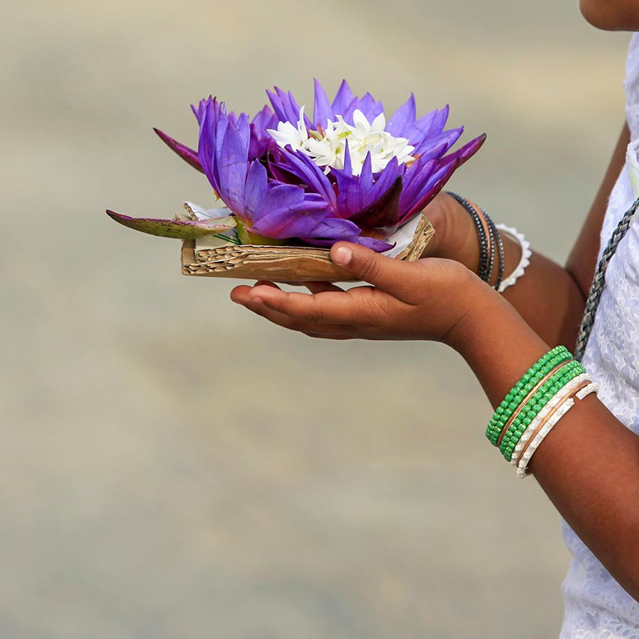 Blue Lotus Flower in Mihintale