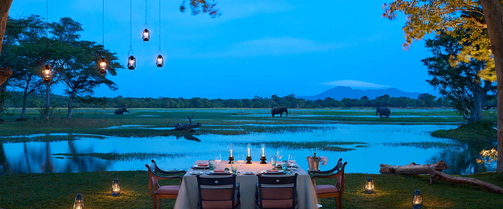 Couple Dining in a Hotel Habarana