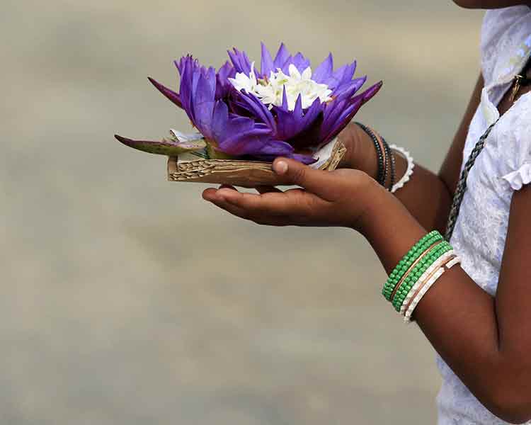 A Lady With Lotus in Mihintale