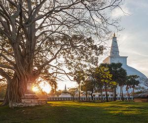 Ruwanwelimaha Stupa in Anuradhapura