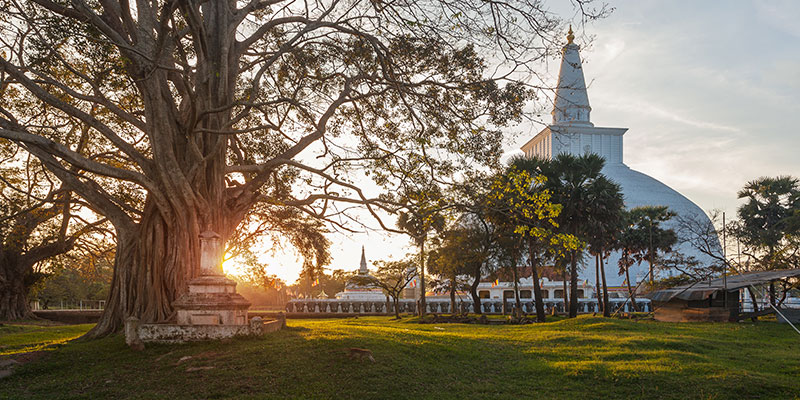 Ruwanwelimaha Stupa in Anuradhapura