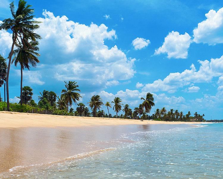 Beach Views of a Sri Lankan Beach