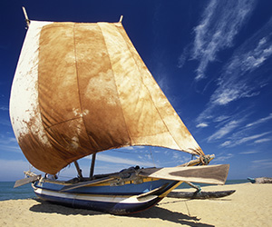 Fishing Boats in Negombo Beach