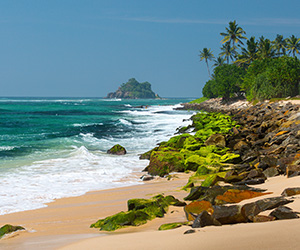 Beach Views of a Sri Lankan Beach