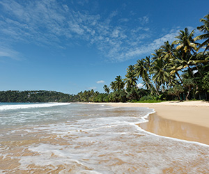 Beach Views of a Sri Lankan Beach