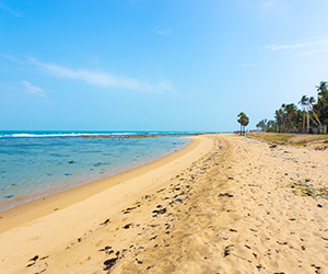 Beach Views of a Sri Lankan Beach