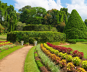 Royal Botanical Garden in Kandy