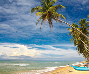 Beach Views of a Sri Lankan Beach