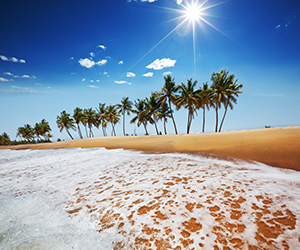 Beach Views of a Sri Lankan Beach