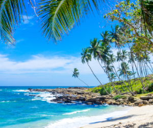 Beach Views of a Sri Lankan Beach